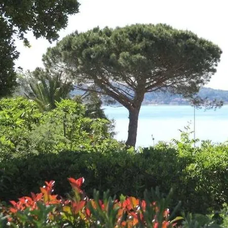 Luxueuse Vue Avec Piscine Golfe De St Tropez 14 Personnes Villa Grimaud