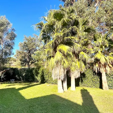 Luxueuse Vue Avec Piscine Golfe De St Tropez 14 Personnes Villa *